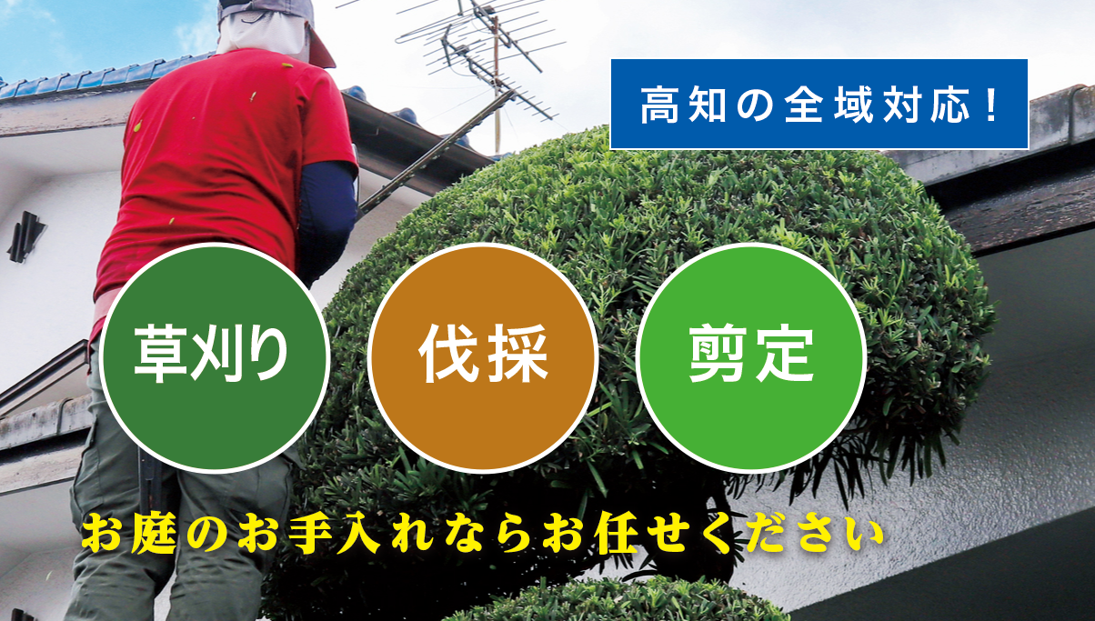 ����s�ő�����E����E���̂Ȃ�u����̑叫�v